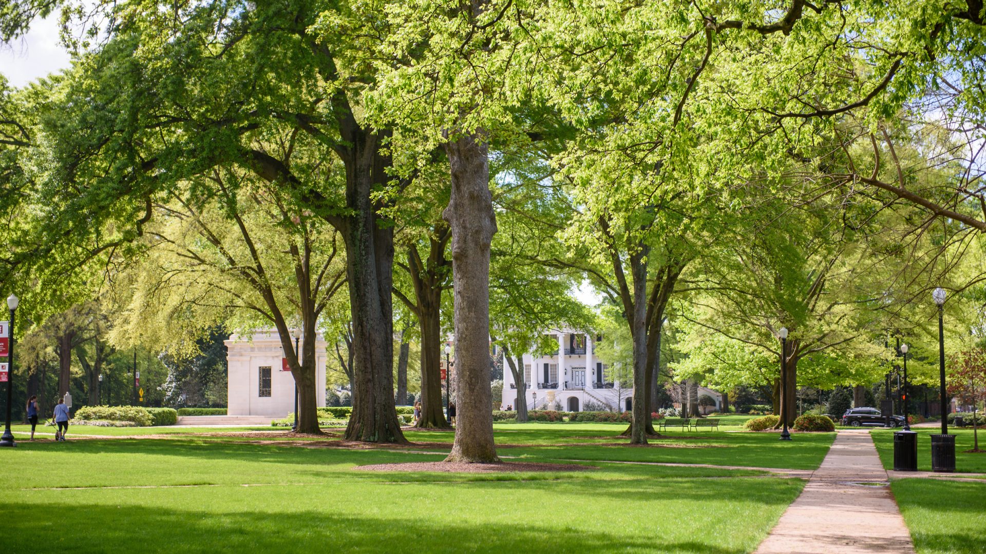quad, green grass and trees
