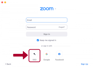 Access Zoom with SSO